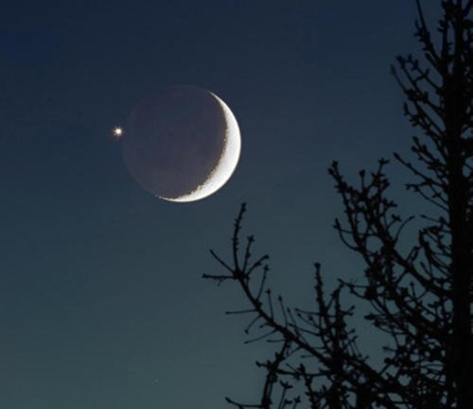 Horned Moon & Venus.jpg